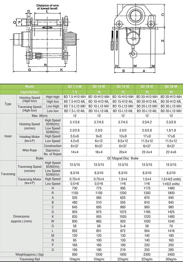 Double-Rail Type Hoist with Motor-Drive Trolley